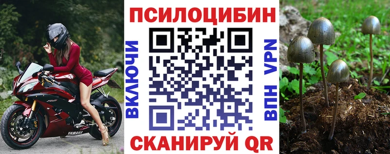 Псилоцибиновые грибы ЛСД  Закаменск 